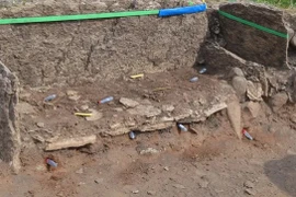 Bí ẩn hộp sọ mất tích trong ngôi mộ 5.500 năm tuổi 