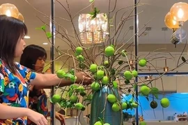 Vợ Mạnh Trường cắm cành thị trang trí nhà gây thích thú