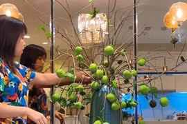 Vợ Mạnh Trường cắm cành thị trang trí nhà gây thích thú