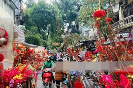 Người Hà Nội rộn ràng xuống phố, chở Tết về nhà