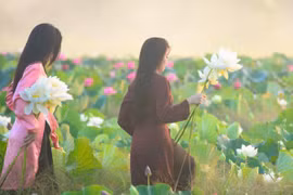 Mùa sen trắng đẹp nao lòng xứ Huế