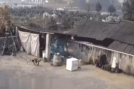 Video: Người đàn ông sống sót thần kỳ sau vụ nổ khí metan