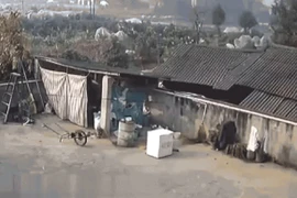 Video: Người đàn ông sống sót thần kỳ sau vụ nổ khí metan