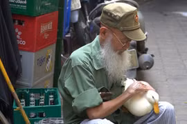 Lạ lùng cụ ông dắt vịt đi dạo khắp phố cổ Hà Nội 