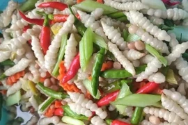 Loại rau dại hình dạng giống con sâu, được ví như nhân sâm