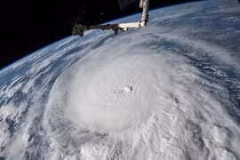 'Quái vật' Milton được lột tả qua 3 bức ảnh 