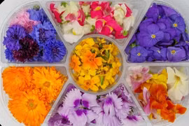 Lợi ích bất ngờ từ việc ăn sống hoa hồng, oải hương