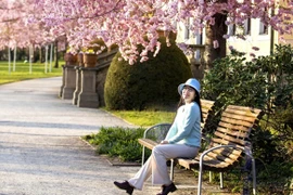 Mê đắm cảnh đẹp giữa mùa xuân châu Âu