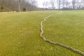 16 hình ảnh cực hiếm, may mắn lắm mới được chứng kiến 