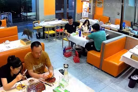 Lợn rừng bất ngờ lao vào nhà hàng, nhiều người hoảng sợ