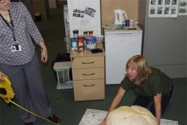 Lại gần tảng đá ven đường, chuyên gia ngớ người trước "kho báu"