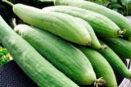 Loại quả giàu vitamin, giúp đẹp da, nấu món dân dã cực ngon