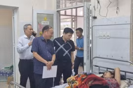 Ngộ độc sau khi ăn bánh mì ở Đồng Nai là do Salmonella, E.coli... 