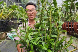 Trồng lan rừng thành công, trai Lâm Đồng nhận lương cao, lãi 1 tỷ/năm