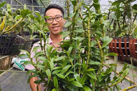 Trồng lan rừng thành công, trai Lâm Đồng nhận lương cao, lãi 1 tỷ/năm