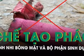 Video: Bỏng mặt và bộ phận sinh dục do chế tạo pháo học trên mạng