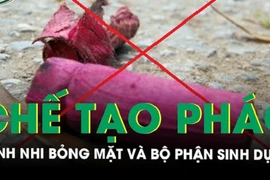 Video: Bỏng mặt và bộ phận sinh dục do chế tạo pháo học trên mạng