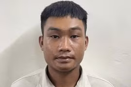 Truy tố tài xế dùng bằng lái giả, gây tai nạn liên hoàn