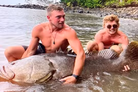 Video: Hai thanh niên câu được cá mú nặng hơn 270kg