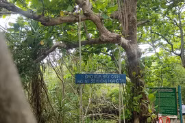 Côn Đảo triển khai du lịch xanh hút khách