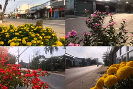 Chiều cuối năm đặc biệt trên tuyến đường nguy hiểm nhất TP.HCM