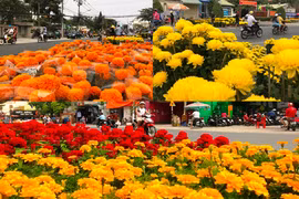 Đường phố TP.HCM ngập sắc hoa trưa 30 Tết, dân buôn méo mặt