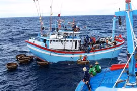 Câu cá ngừ, thuyền viên 23 tuổi bị cá “đớp” đứt bàn tay