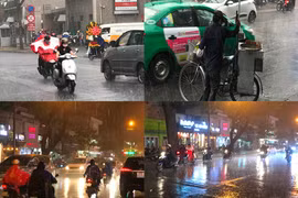 Ảnh: Mưa trái mùa lớn ở TPHCM, nhà vườn trồng mai Tết phát hoảng