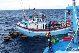 Câu cá ngừ, thuyền viên 23 tuổi bị cá “đớp” đứt bàn tay