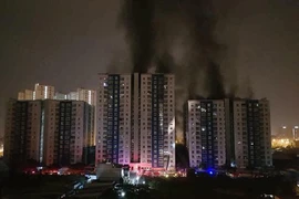 Cháy chung cư Carina Plaza do xe máy chập điện