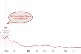 Vợ và em trai chủ tịch Hải Phát bị phạt nặng vì “bán chui” cổ phiếu