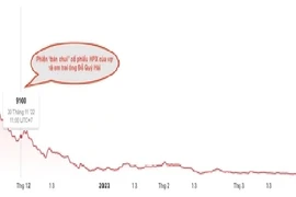 Vợ và em trai chủ tịch Hải Phát bị phạt nặng vì “bán chui” cổ phiếu