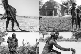 Hạn hán tồi tệ nhất trong 30 năm tàn phá Namibia