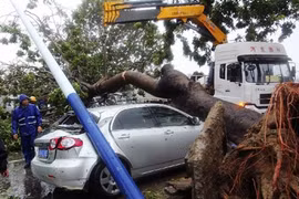 Cảnh tan hoang siêu bão Haiyan đánh vào TQ