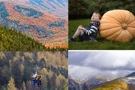 Sắc thu lan tỏa khắp Bắc bán cầu