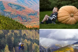 Sắc thu lan tỏa khắp Bắc bán cầu