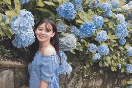 Lên Cao Bằng check-in vườn hoa cẩm tú cầu đẹp đến ngỡ ngàng