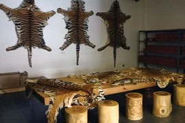 Buôn bán động vật hoang dã núp bóng trang trại thú