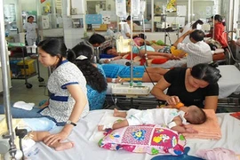 18 người tử vong do sốt xuất huyết