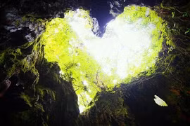 Hang động hình trái tim trong rừng già hớp hồn dân phượt