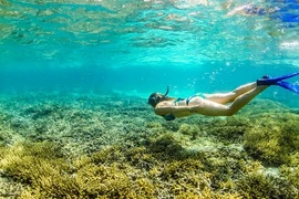 Khâm phục đôi vợ chồng bán cả gia tài để đi du lịch