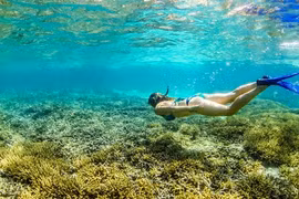 Khâm phục đôi vợ chồng bán cả gia tài để đi du lịch