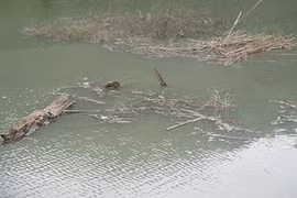 Nguy cơ ô nhiễm tại hồ Ngàn Trươi: Cơ quan chức năng nói gì?