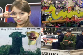 Những hình ảnh gây bão mạng Việt tuần trước Tết Nguyên Đán