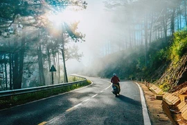 Bình yên đồi chè Cầu Đất