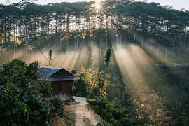 Có một Đà Lạt rất “tình” cho những chuyến phiêu du