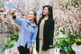 Những “bóng hồng” xinh đẹp ở Lễ hội Hoa anh đào Nhật Bản 