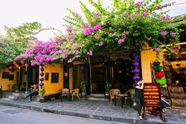 5 địa điểm "sống ảo" hút like tại Hội An trong hè này