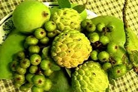 Tác dụng của mâm ngũ quả “cầu - sung - vừa - đủ - xài“