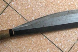 Mâu thuẫn đất đai, anh trai vào rừng chém em ruột trọng thương